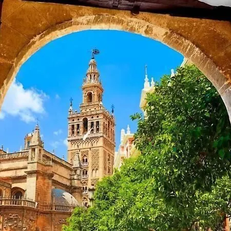 Hub Hostel Seville-3